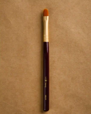 Retractable Lip Brush
